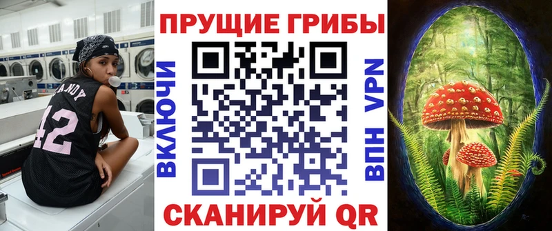Псилоцибиновые грибы Cubensis  Анапа 